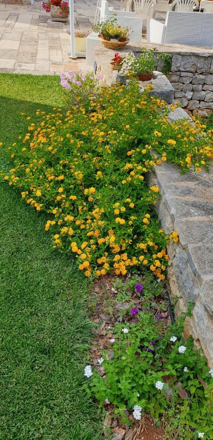 모노폴리 Balice Antica Dimora B&B 외부 사진